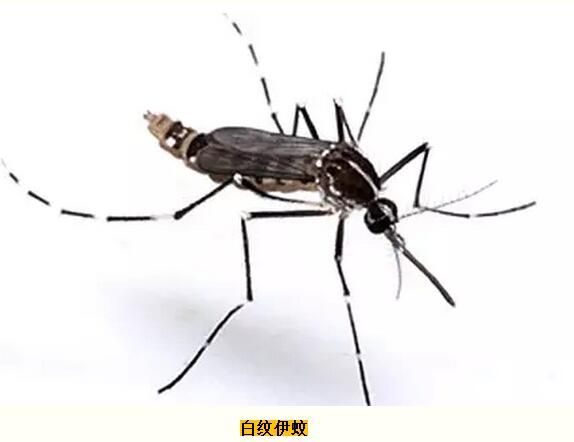 1609913202162272.jpg 5c8900ee11d29.jpg