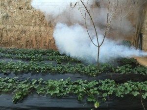 1609922702266926.jpg 5c714c188ddf1.jpg