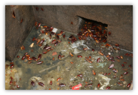 1609922746110621.png 5c714c18dd20c.png